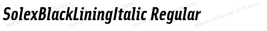 SolexBlackLiningItalic Regular字体转换